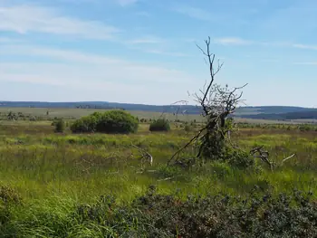 Signal de Botrange (België)